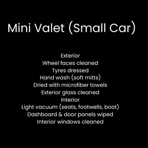 Mini Valet